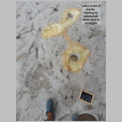 DSCN1095 labeled.jpg